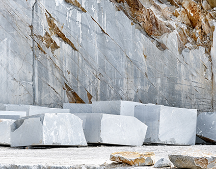 Jiangsu Xinyesheng Sculptuur Co., Ltd.